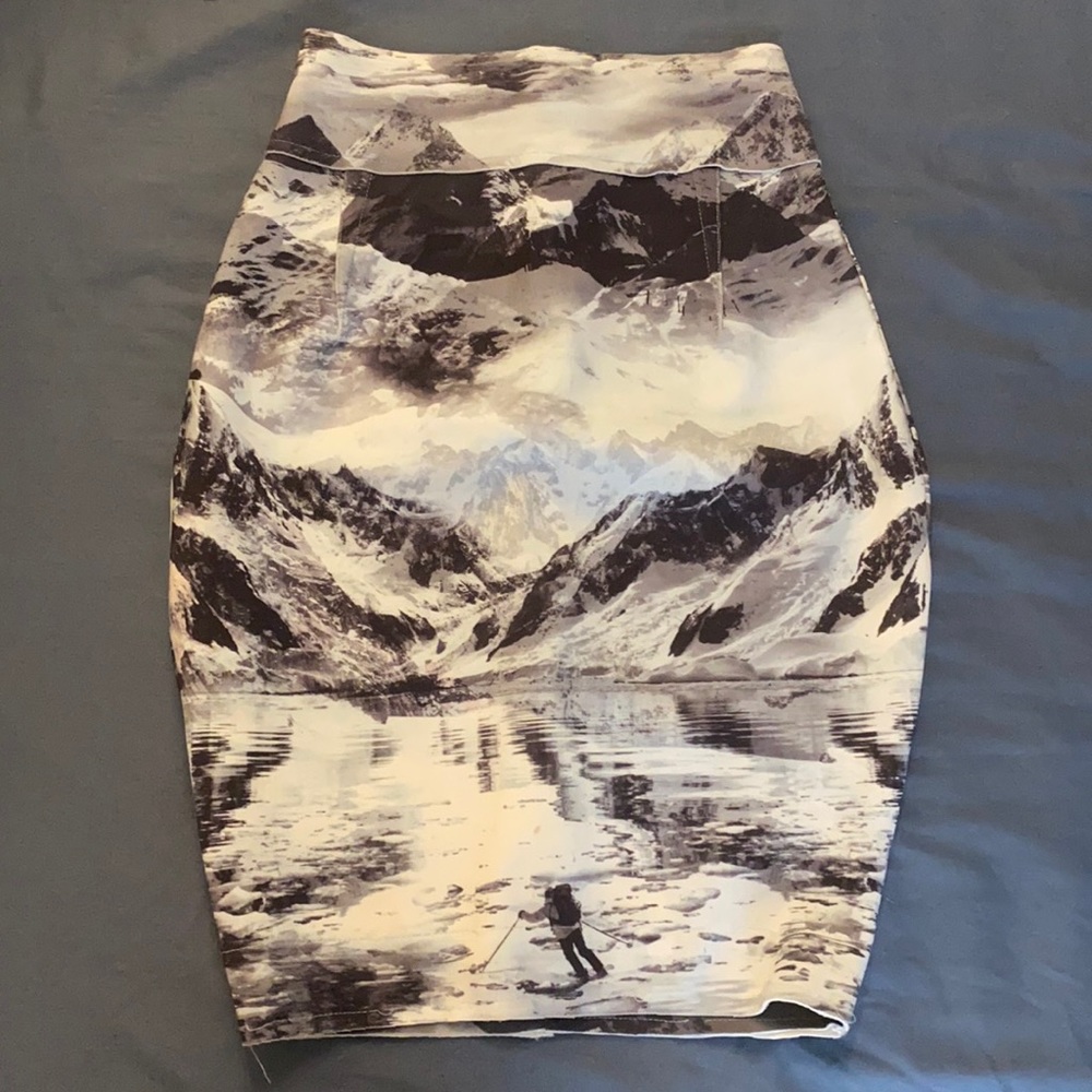 Animale Pencil Skirt, Size XS